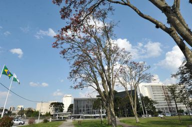 Proibição de renovação automática para contratos de prestação de serviços será votada na segunda-feira (14)