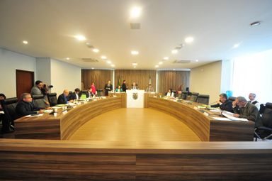 CCJ começa a analisar projeto do Executivo que organiza política pública da Criança e do Adolescente