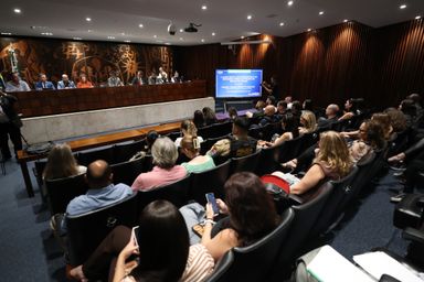 Audiência pública debateu saúde mental dos profissionais da segurança pública no Paraná