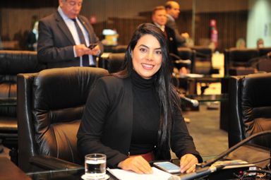 Assembleia realiza seminário sobre o "Programa 1000 Dias" de orientação e cuidados nutricionais dos bebês
