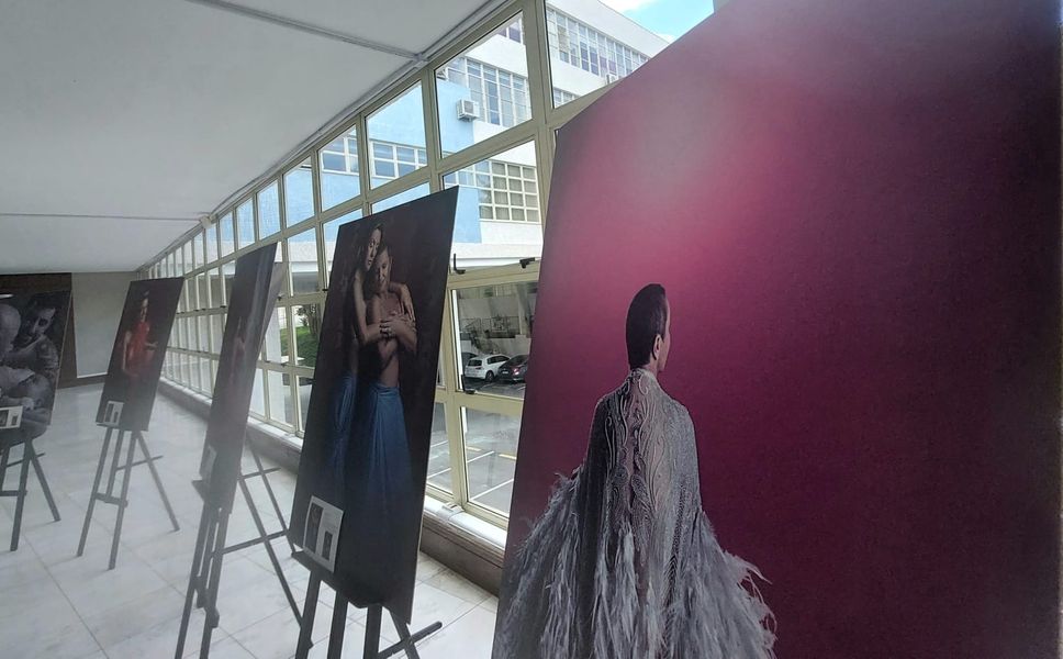 exposição
