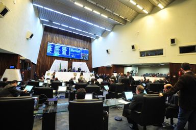 Assembleia aprova indicação de tipagem sanguínea em documentos de recém-nascidos