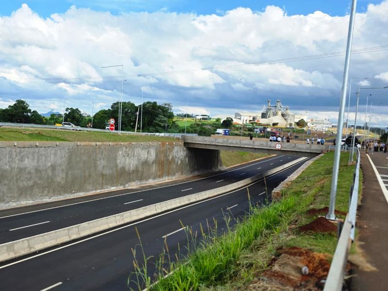 cobra viaduto lei