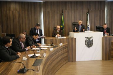 Sintonia entre membros da Comissão de Segurança facilita trabalho do grupo