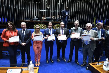 Dia Nacional do Hematologista e Hemoterapeuta: deputada Flávia Francischini (União) participa de sessão especial no Senado