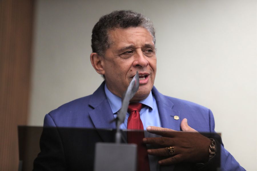 galo sessão