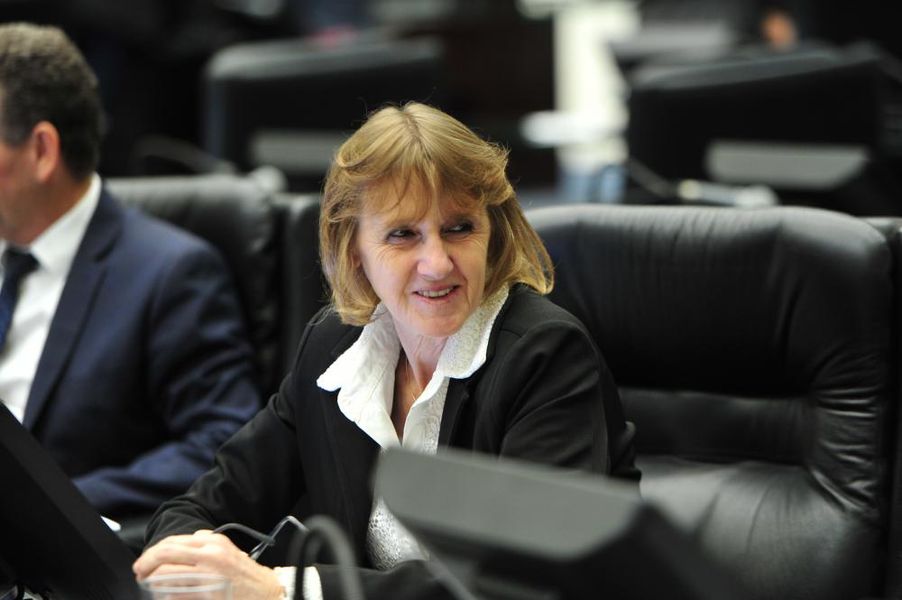 Deputada Luciana Rafagnin dia 5
