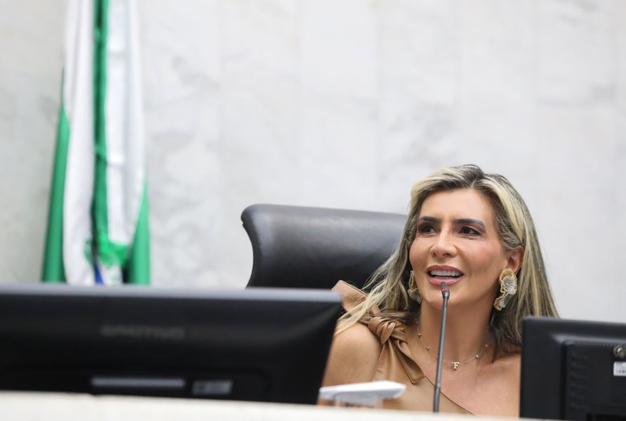 flavia sistema veiculos