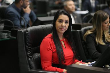 Debate quer identificar obstáculos para combate da violência contra a mulher