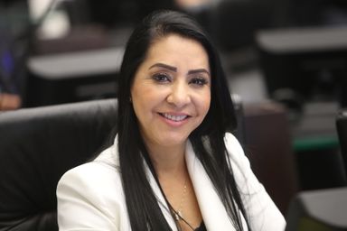 Os desafios da mulher no cenário atual é o tema de audiência que acontece na Assembleia Legislativa