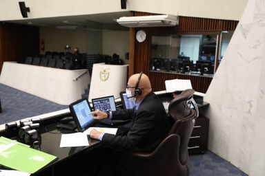 Deputados aprovam projeto que estabelece novas regras para estimular plantio e exploração da araucária