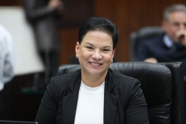 Projeto institui o Dia do Empreendedor no Paraná e reconhece a importância do setor para o desenvolvimento do estado