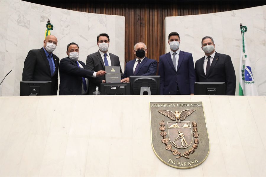 msg governo1