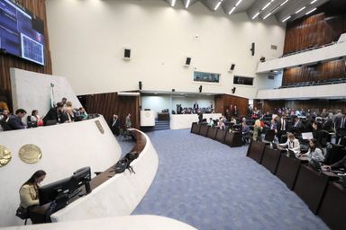Aprovado projeto que promove mobilização pela saúde mental materna no Paraná