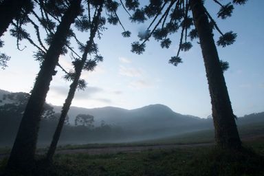 Audiência pública vai debater situação das unidades de conservação da Serra do Mar