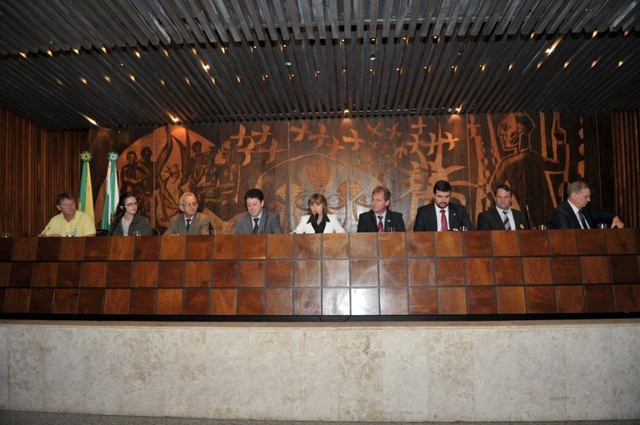 Ao centro da mesa, deputada Luciana Rafagnin (PT), proponente do evento.