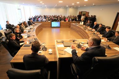 Grupo de trabalho para enfrentamento da obesidade é criado na Assembleia