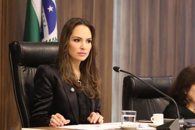 Assembleia debate criação do Dia Estadual de Conscientização da “Doença dos Ossos de Vidro”