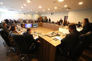 Frente Parlamentar recebe diagnósticos e ações para ampliar vagas para crianças de 0 a 3 anos no Paraná