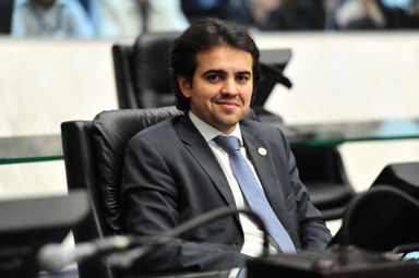 Audiência pública vai debater legalidade do comércio de cães e gatos no Paraná