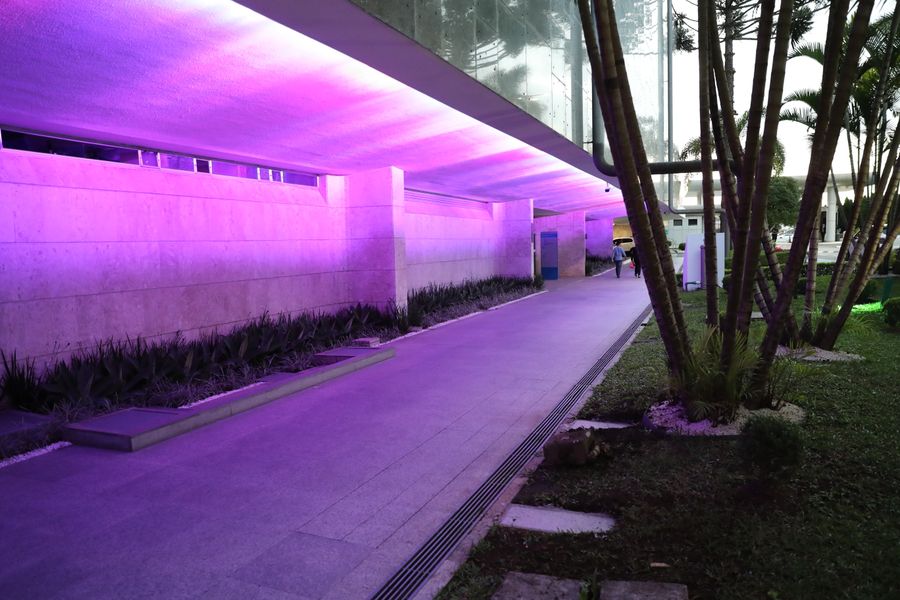 março roxo 2
