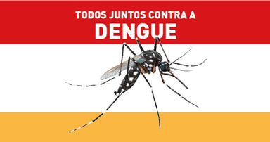 Lembre-se do coronavírus mas não esqueça a dengue