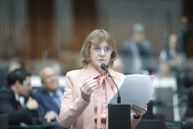 Deputada Luciana Rafagnin (PT) solicita dados sobre nascimentos prematuros e óbitos neonatais no Paraná