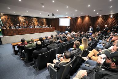 Audiência debate possíveis impactos do decreto federal que restringe o uso de armas e munições