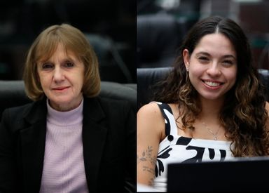 Deputadas destacam os 93 anos do voto feminino e reforçam desafios na política