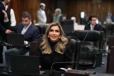Aprovado projeto da deputada Flávia Francischini (União) que institui o Dia do Hematologista e Hemoterapeuta