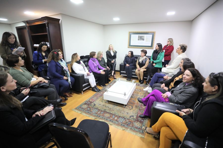 bancada feminina reunião