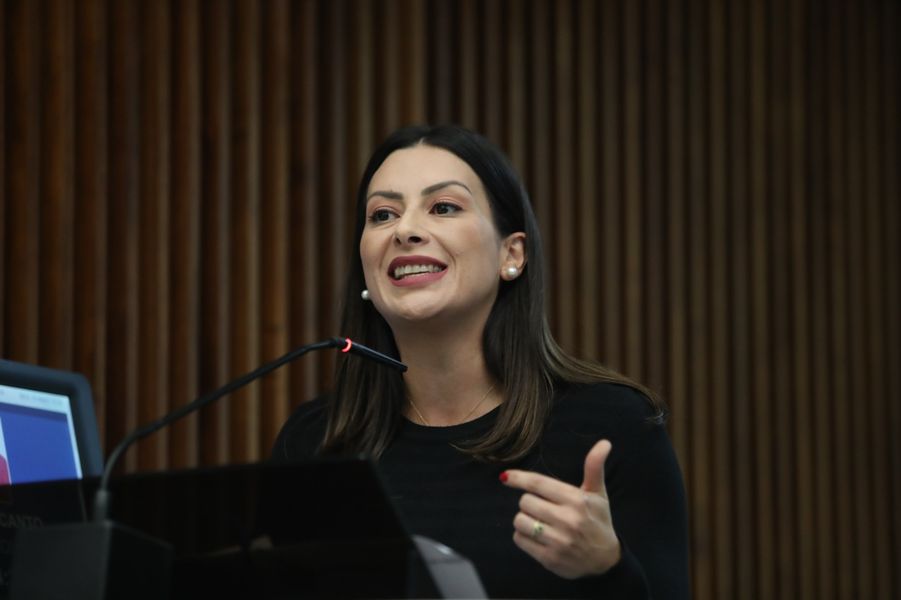 bancada feminina mabel canto emendas ldo