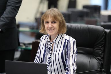 Deputada Luciana Rafagnin (PT) propõe inclusão do queijo colonial na cesta básica estadual do Paraná