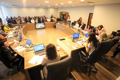 Audiência reforça necessidade de formação continuada para assegurar Atendimento Educacional Especializado no Paraná