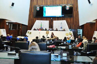 Seminário promovido pela Assembleia Legislativa discute moradias assistidas para pessoas com autismo