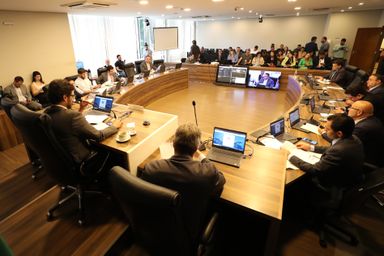 CCJ aprova projeto que reconhece ocorrência de estado de calamidade pública no Paraná
