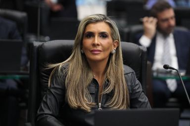 Projeto da deputada Flávia Francischini (União) estabelece diretrizes para o tratamento da Endometriose no Paraná