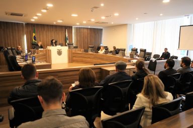 Frente Parlamentar de Proteção à Saúde Mental realiza sua primeira reunião de trabalho