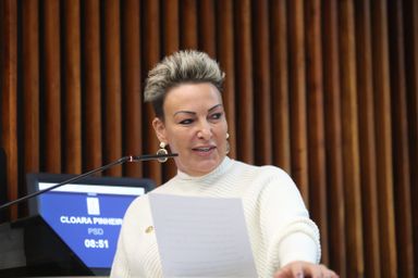 Assembleia recebe 4° Encontro das Procuradorias Especiais da Mulher do Estado do Paraná