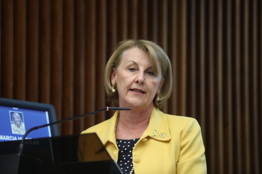 huçulak telessaúde aprovação