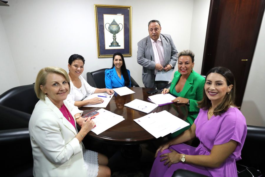 comissão da mulher 01402025