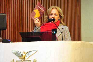 Fundadora da ONG Todas Marias fala sobre os onze anos da Lei Maria da Penha