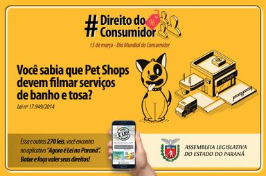 Lei obriga a gravação dos serviços de banho e tosa de cães e gatos