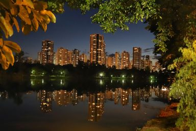 Secretaria de Saúde deve auditar dados e verificar divergências de números de casos de coronavírus em Londrina
