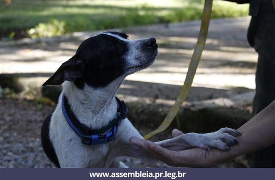 utilidad pública