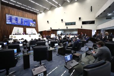 Assembleia aprova criação da Semana Estadual de Conscientização e Combate ao Capacitismo