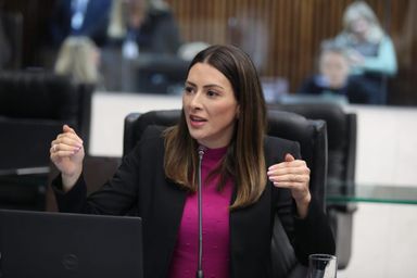 Julgamento da Lei do Parto Adequado no TJ-PR: deputada Mabel Canto (PSDB) defende constitucionalidade