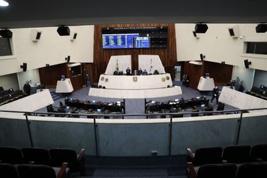 Propostas de recuperação econômica do Estado e de combate à pandemia marcaram os debates na Assembleia no 1º semestre