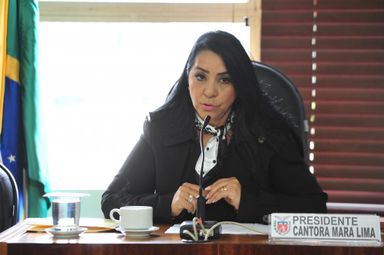Comissão debate cuidados com a mulher vítima de violência