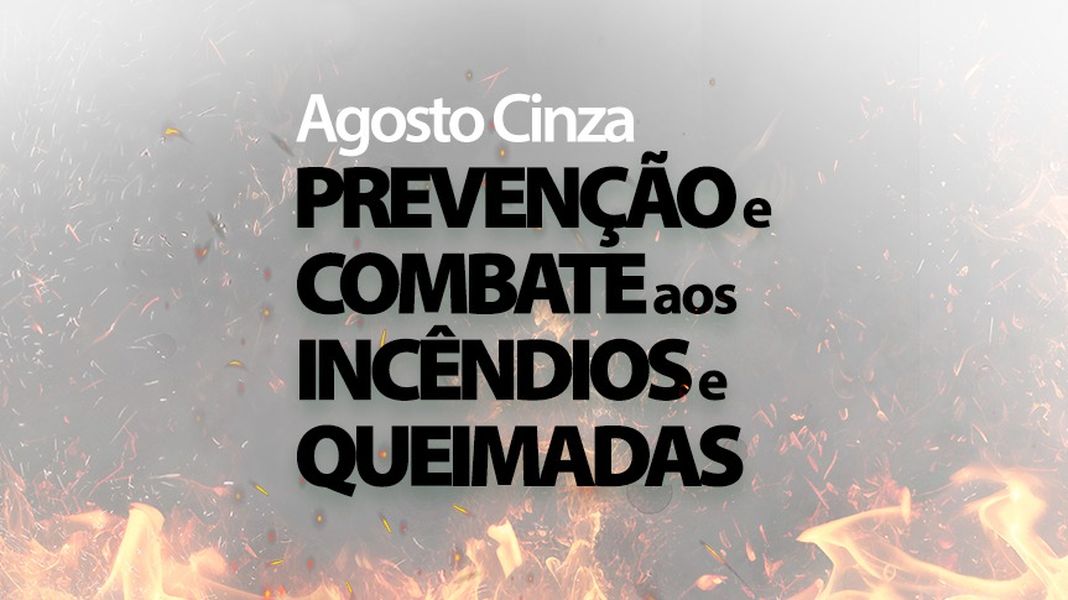 agosto cinza 30072024